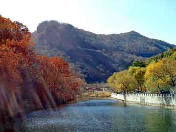 管家婆免费正版资起大全，山图酒业